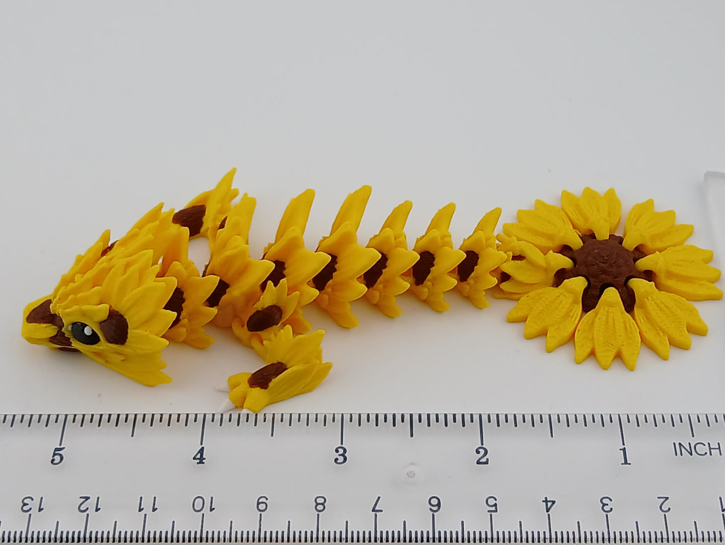 Sunflower Tadling